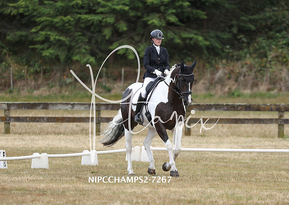 NIPCCHAMPS2-7267