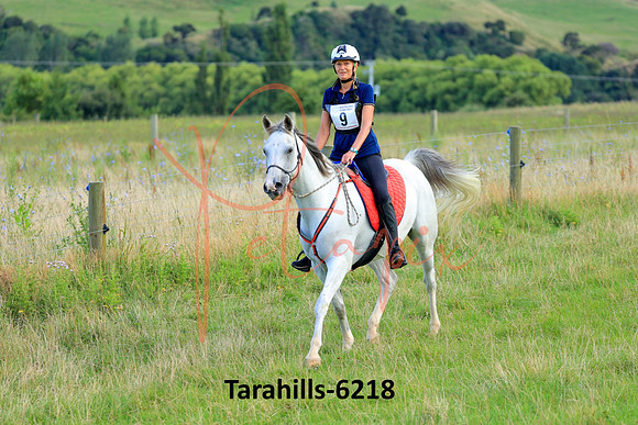 Tarahills-6218