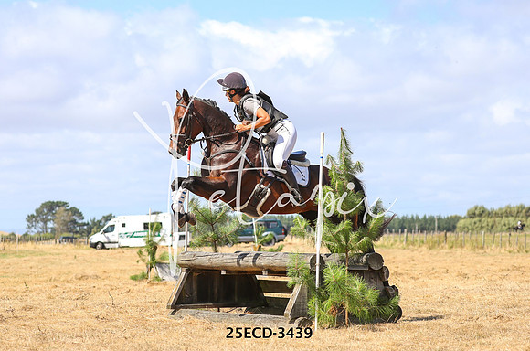 25ECD-3439