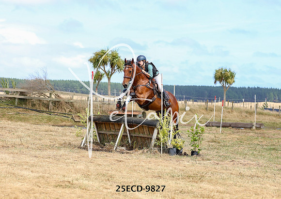 25ECD-9827