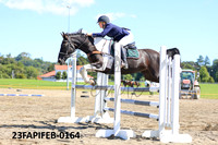 23FAPIFEB-0164
