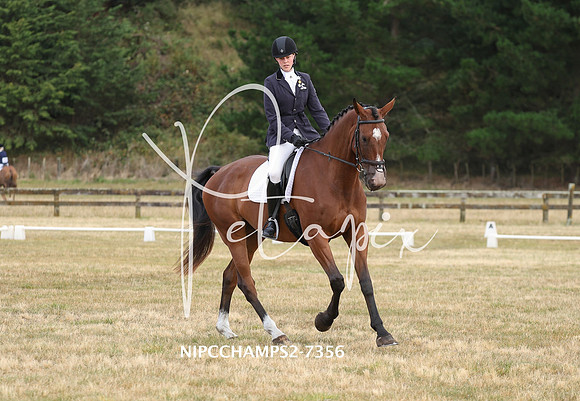 NIPCCHAMPS2-7356