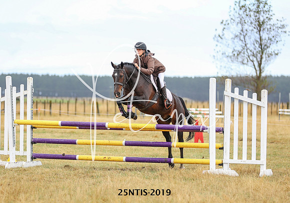 25NTIS-2019