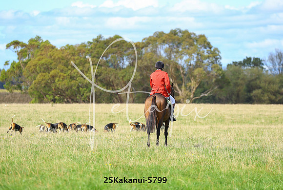 25Kakanui-5799