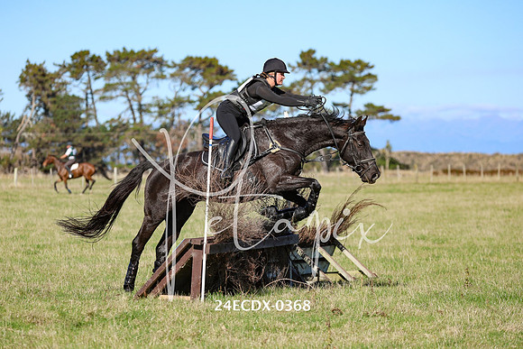 24ECDX-0368