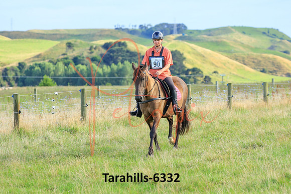 Tarahills-6332