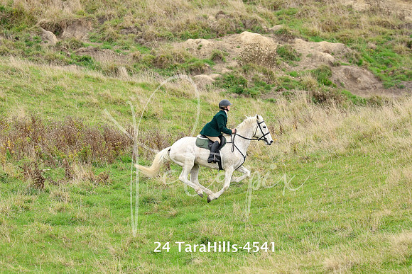 24 TaraHills-4541