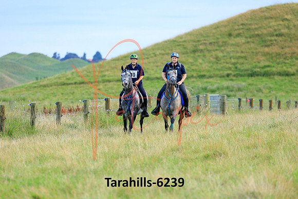 Tarahills-6239