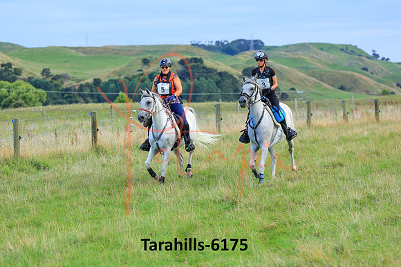 Tarahills-6175