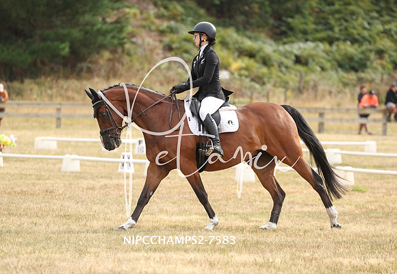 NIPCCHAMPS2-7583
