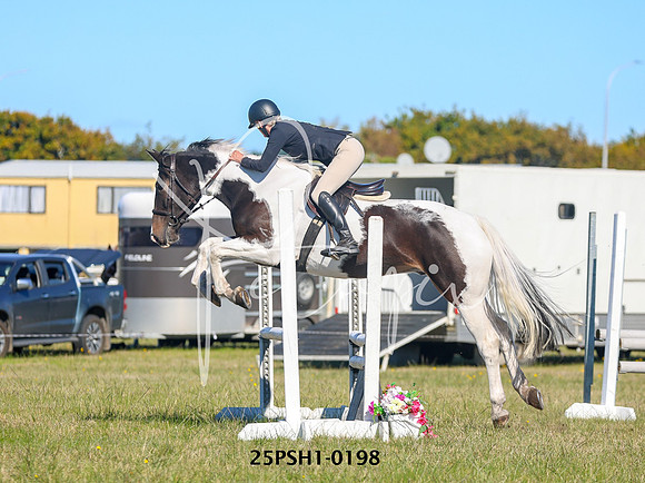 25PSH1-0198
