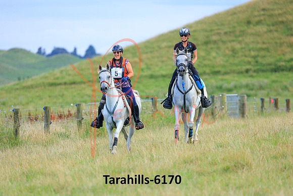 Tarahills-6170