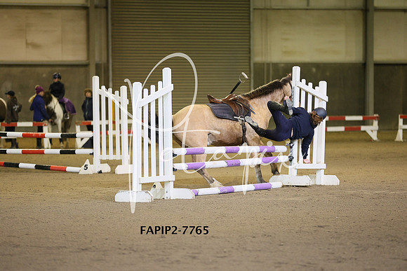 FAPIP2-7765
