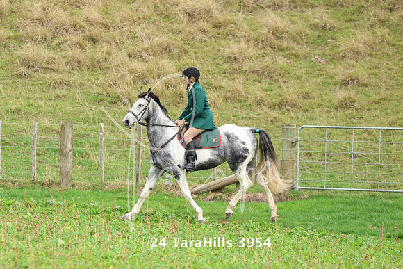 24 TaraHills-3954