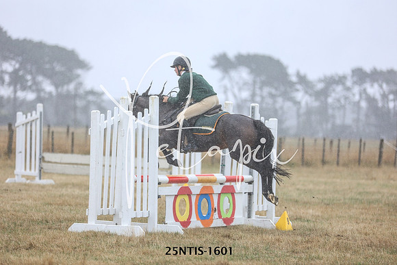 25NTIS-1601