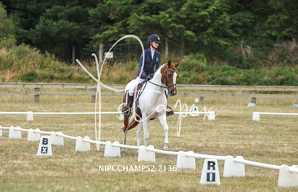 NIPCCHAMPS2-7136