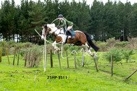 25HP-3511