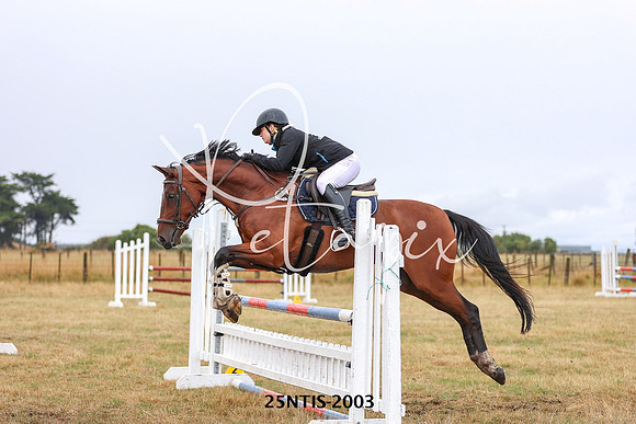 25NTIS-2003