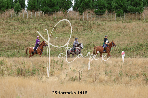 25Horrocks-1418