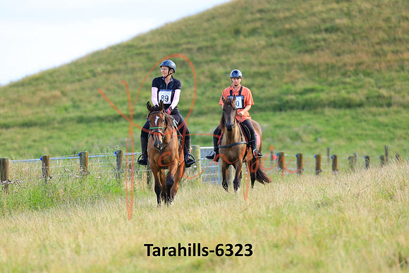 Tarahills-6323