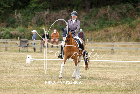 NIPCCHAMPS2-8097
