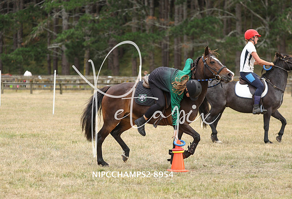 NIPCCHAMPS2-8954