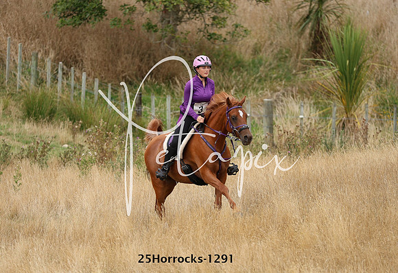 25Horrocks-1291