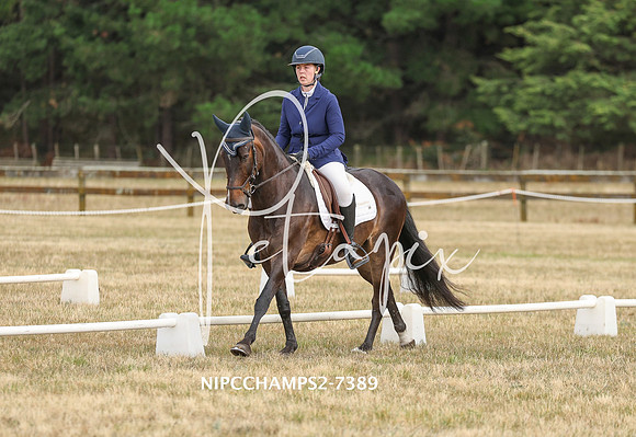 NIPCCHAMPS2-7389