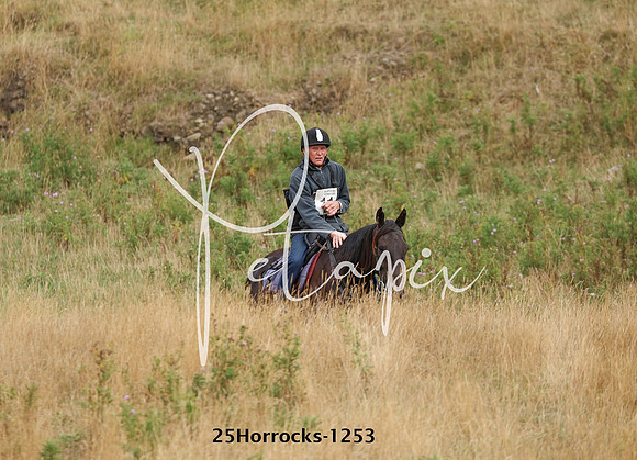 25Horrocks-1253