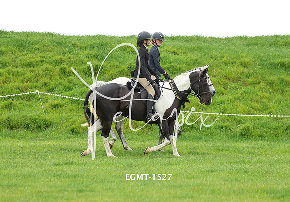 EGMT-1527