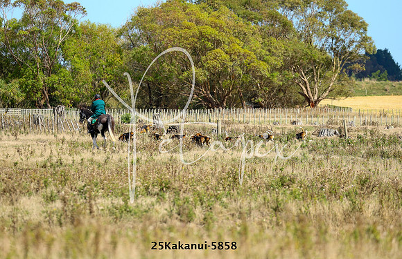 25Kakanui-5858