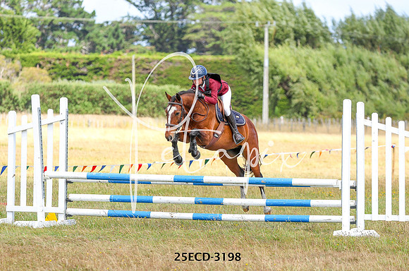 25ECD-3198