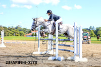 23FAPIFEB-0173