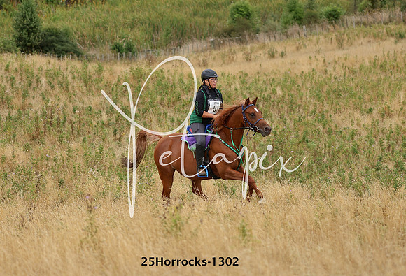 25Horrocks-1302