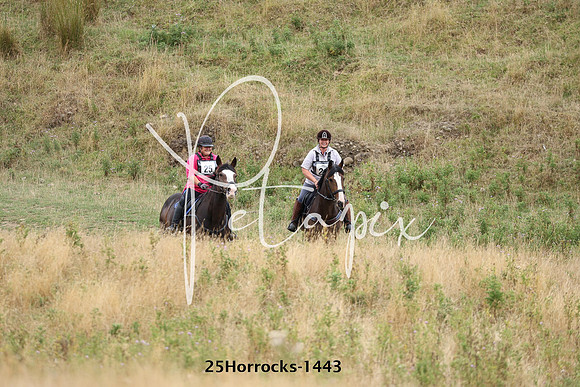 25Horrocks-1443