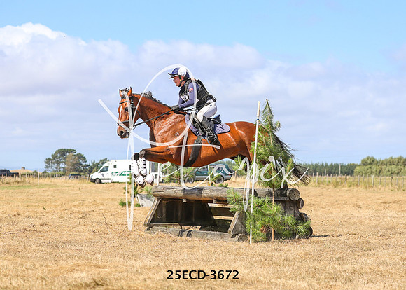 25ECD-3672