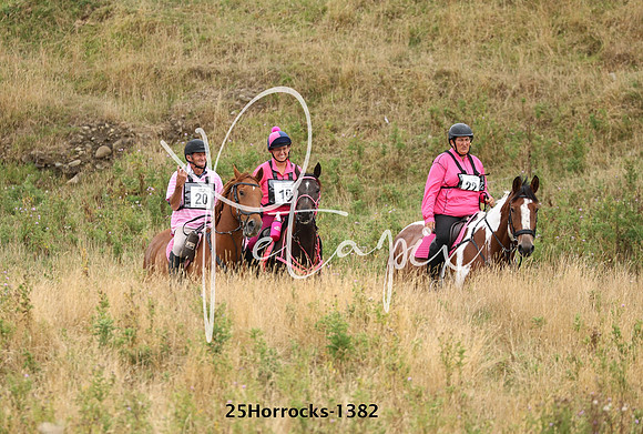 25Horrocks-1382