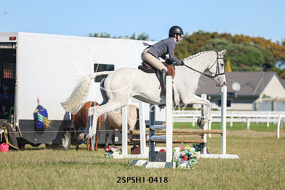 25PSH1-0418
