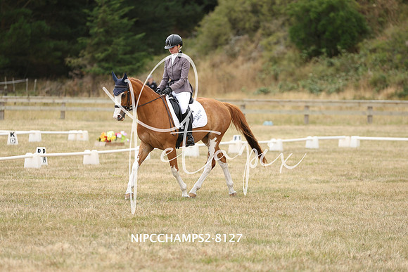 NIPCCHAMPS2-8127