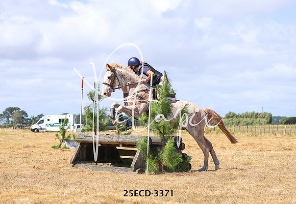 25ECD-3371