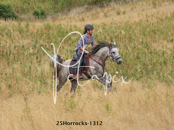 25Horrocks-1312