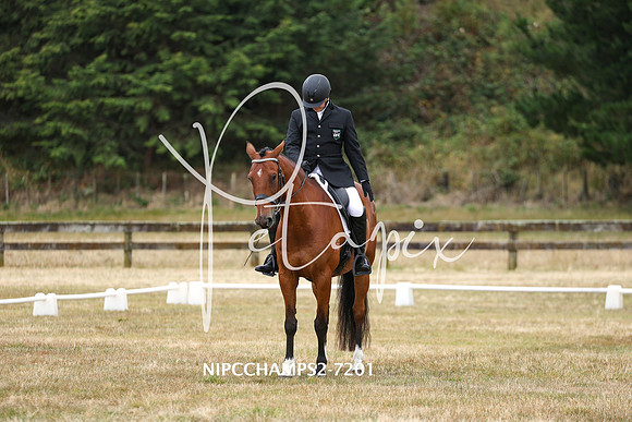 NIPCCHAMPS2-7201