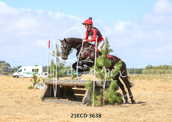 25ECD-3638