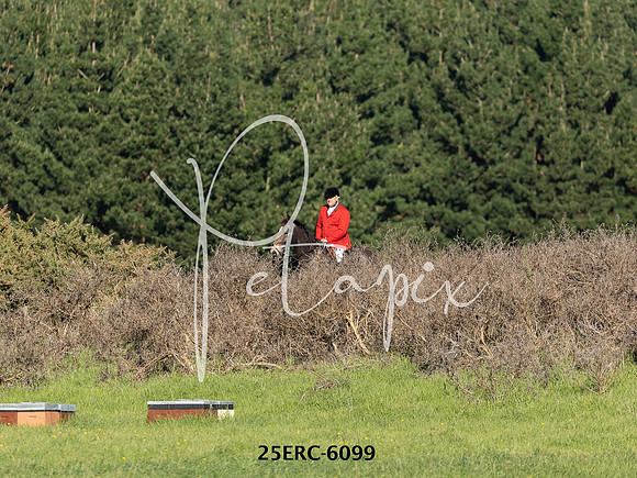 25ERC-6099