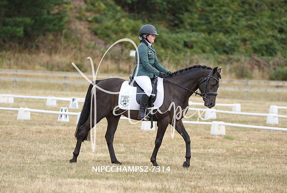 NIPCCHAMPS2-7314
