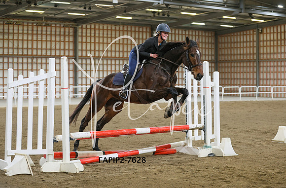 FAPIP2-7628