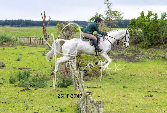 25HP-3747