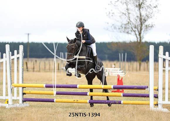 25NTIS-1394