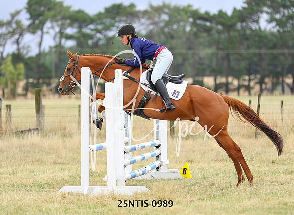 25NTIS-0989