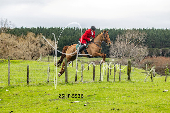 25HP-5536